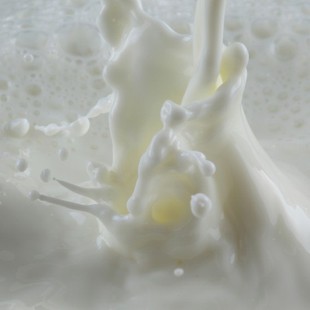  20斤奶酒酿酒套餐 奶酒酿酒辅料 酿酒酵母 葡萄酒自酿坊