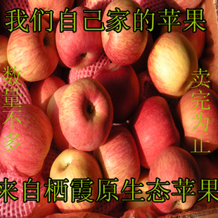  烟台苹果 栖霞红富士苹果 新鲜水果脆甜 产地批发一级果 山东特产