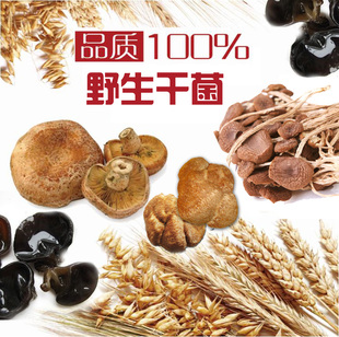  云南野生干菌山珍山菌野山菌蘑菇南北干货 山珍尚品礼包