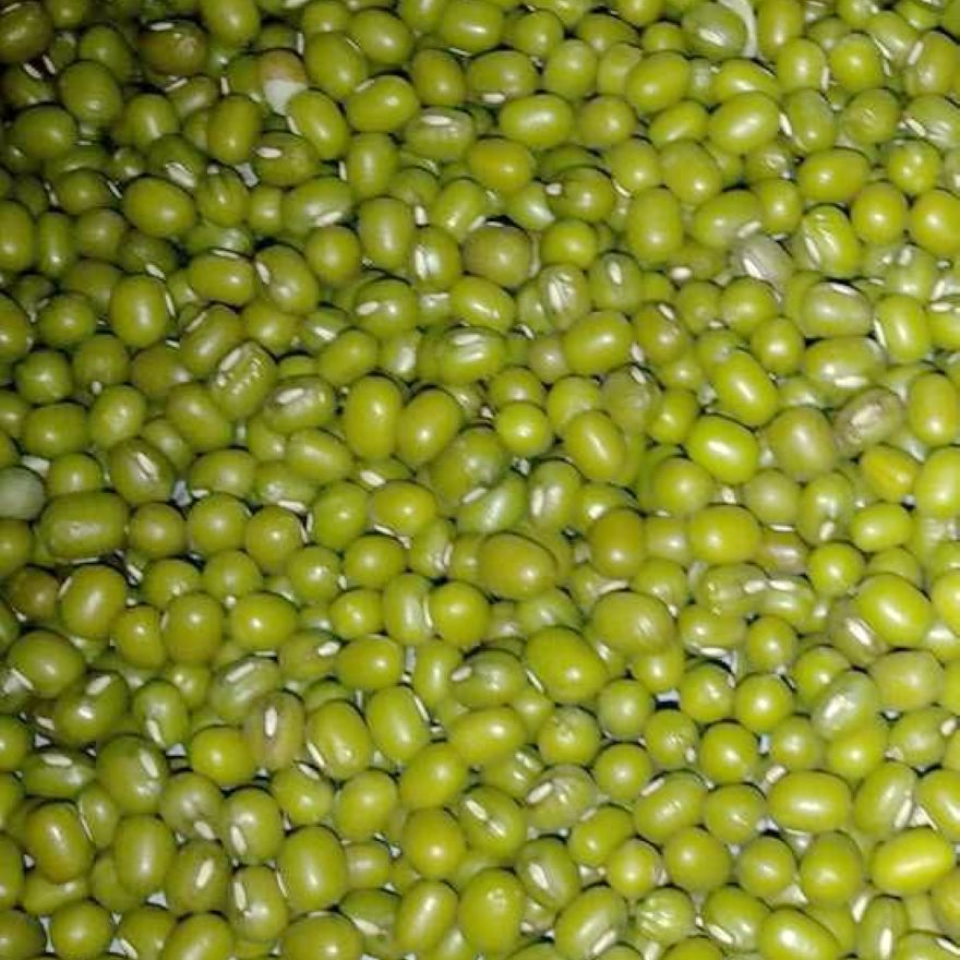 Jinnan Farm Green beans Farm selected Pollution Cool hot weather high quality Whole grains 5 poundsin the Agri rice/Dried foods/Condiment , Meter/Flour/Grains , Beans , Green beans category - from Buy2taobao.com to provide professional Taobao agent buy service