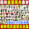 上下架计划:园林景观设计素材PSD高清花卉植物盆景效果图后期室内室外PS鲜花