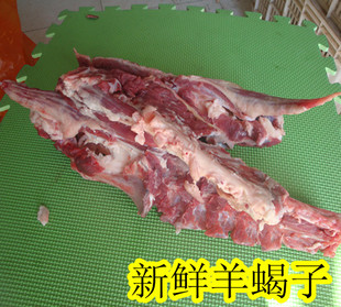  羊蝎子 散养黑山羊骨头 羊脊梁骨 羊骨头 另有新鲜生羊肉 羊肉卷