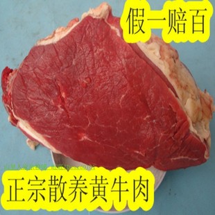  土黄牛肉 新鲜生牛肉 生牛肉 牛腩 牛腿肉 牛腱子 牛里脊 牛排