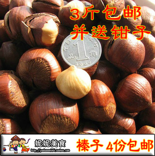  2斤特价包邮 东北特产 吉林野生 大榛子 开口榛子 生榛子仁 250g