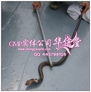 纯中药驱蛇散 驱蛇 驱蜈蚣 驱虫 钓鱼防蛇 旅游