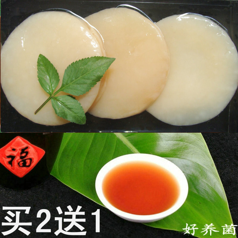 正宗紅茶菌/紅茶菌菌種/海寶/胃寶/醋蛾子/包郵/送說明書在類目 廚房/烹飪用具, 烹飪用具, 其它中 - 來自Buy2taobao.com提供專業的淘寶代購服務