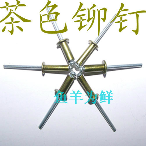 Tan Champagne Coating Pulling Rivet Security Packaging box Dedicated senior colour rivet direct dealin the Hardware/Tool , Fastener , Rivet , Rivets category - from Buy2taobao.com to provide professional Taobao agent buy service