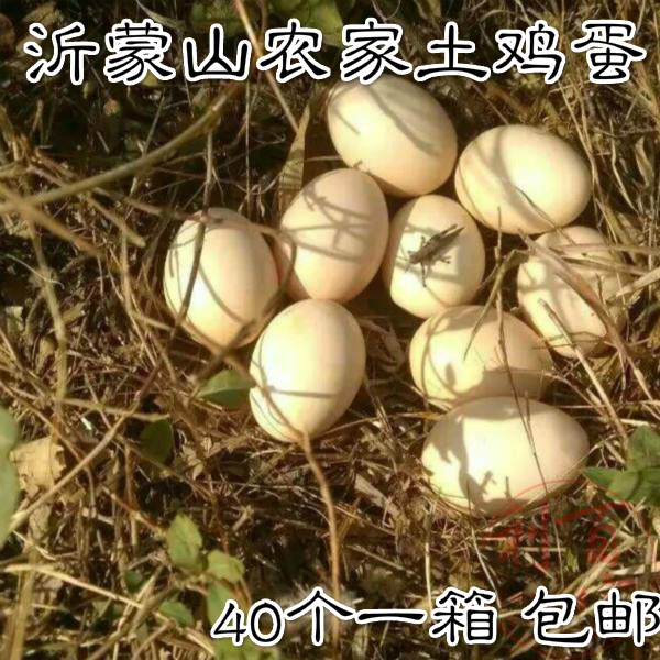 土鸡蛋农家散养新鲜自养柴鸡蛋 沂蒙农家 笨鸡蛋土鸡蛋散养 孕妇在类目 水产肉类/新鲜蔬果/熟食, 蛋/蛋制品, 鲜活蛋类, 鸡蛋中 - 来自Buy2taobao.com提供专业的淘宝代购服务