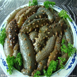  【京峰世界海鲜】海鲜水产品 鲜活海捕 大连活海参 3-10个/斤