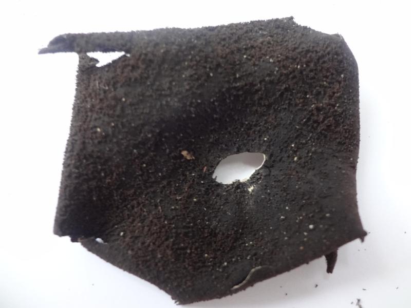 包邮野生石菇免洗石木耳50g无沙剪脚大片岩耳地耳福建土特产干货在类目 粮油米面/南北干货/调味品, 南北干货/肉类干货, 干货/土特产, 其它中 - 来自Buy2taobao.com提供专业的淘宝代购服务