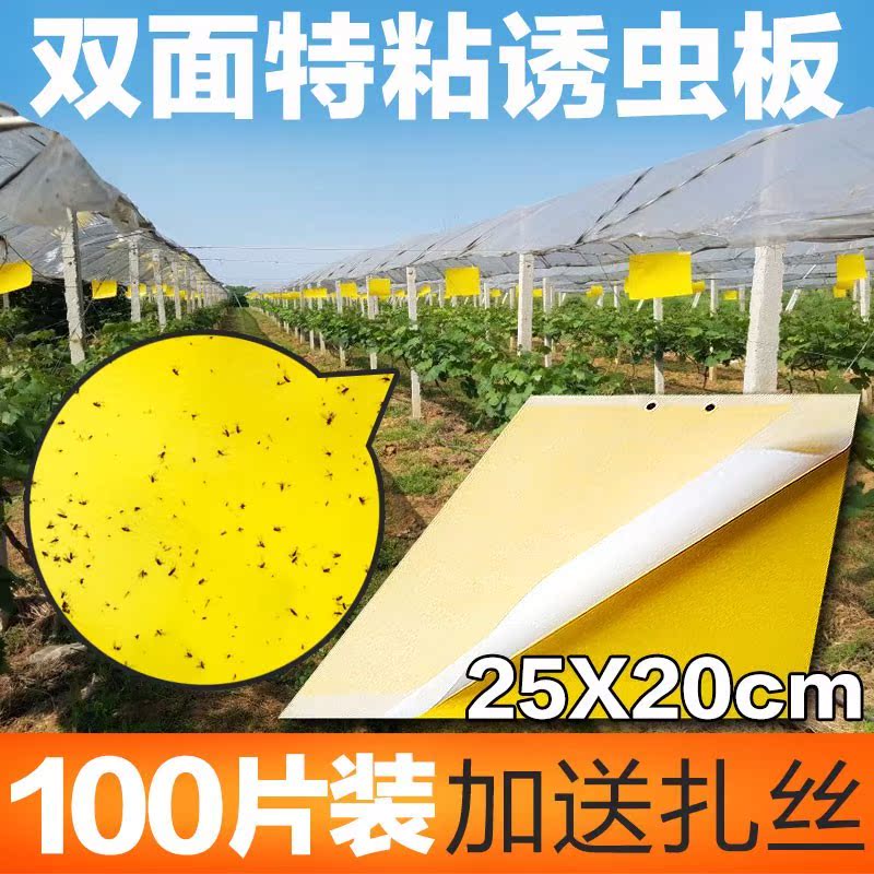 2018大棚粘虫板诱虫纸贴双面黄色沾黏蚊子小飞虫果实蝇苍蝇农用蔬在类目 鲜花速递/花卉仿真/绿植园艺, 园艺用品, 其它园艺用品中 - 来自Buy2taobao.com提供专业的淘宝代购服务