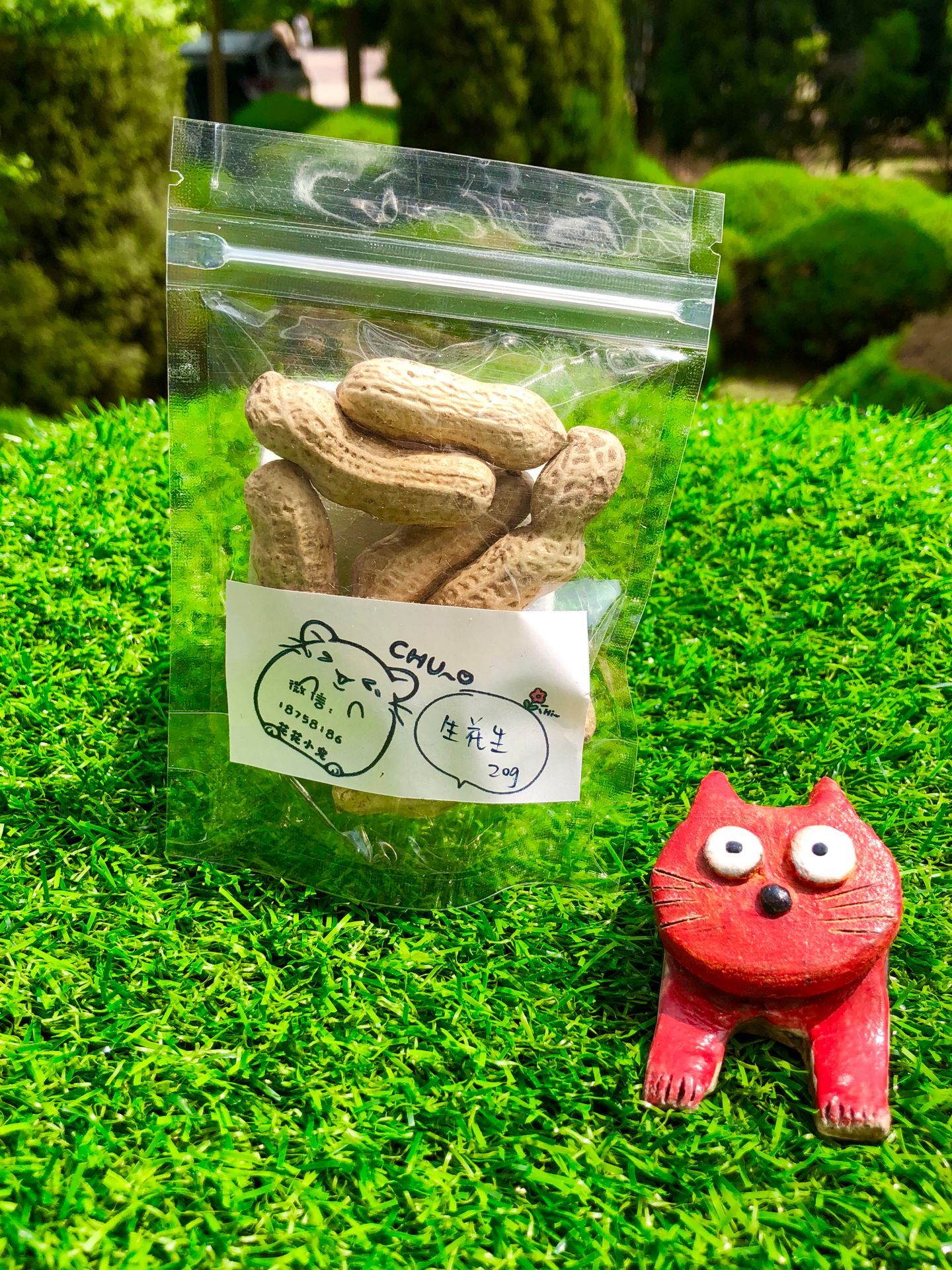 花花小宠仓鼠金丝熊通心粉零食精选生花生20g仓鼠金丝熊通心粉|ruв категории животное/Животное питание и принадлежностей, хомяк класса и других малых животное, небольшой питомца принадлежностей (новая), другие - от Buy2taobao.com для оказания профессиональной услуги покупки агента Taobao