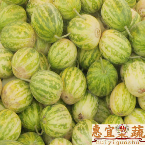 甜瓜 新鮮 包郵順豐5斤裝 花姑娘香瓜 東北香瓜香甜 惠宜果蔬在類目 水產肉類/新鮮蔬果/熟食, 新鮮水果, 其它中 - 來自Buy2taobao.com提供專業的淘寶代購服務