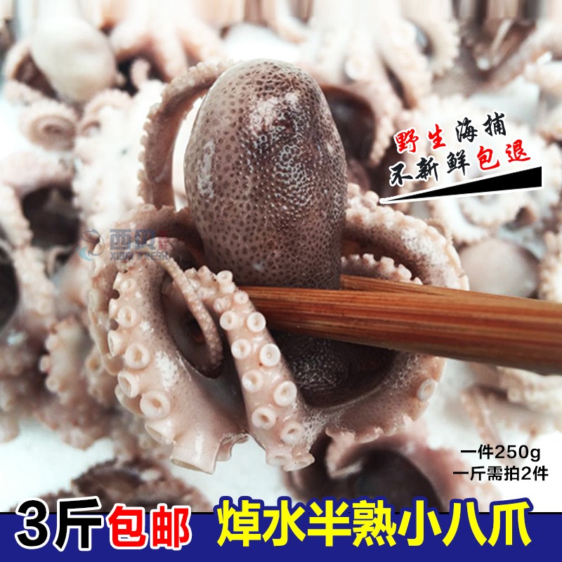 连云港新鲜海鲜水产迷你小八爪鱼鲜活野生熟冻八抓鱼章鱼火锅食材|msdalam kategori daging perikanan/Buah-buahan segar dan sayur-sayuran/dimasak, makanan laut/produk akuatik/produk, Octopus, sotong beku - dari Buy2taobao.com untuk memberikan perkhidmatan ejen Taobao profesional membeli