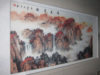 年花水培红星凤梨花 鸿运当头 黄金果花卉盆栽