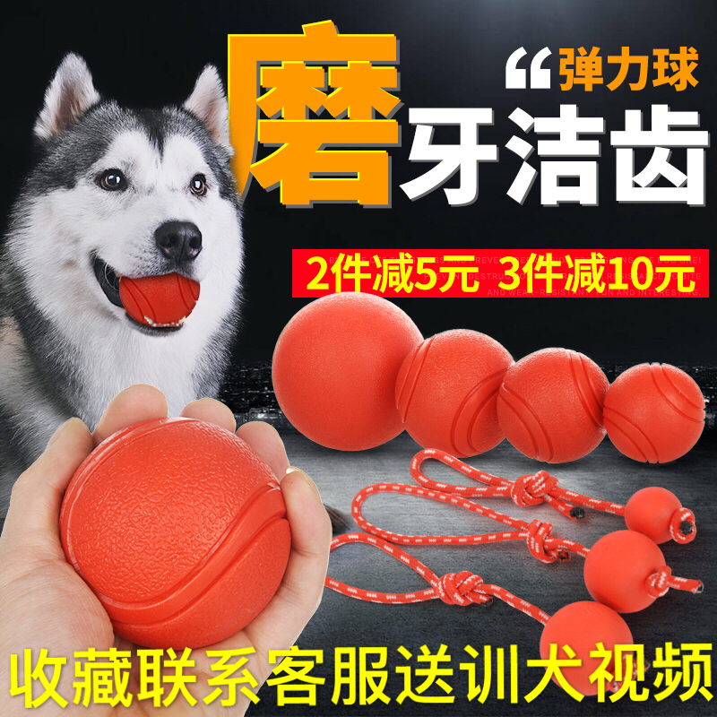 宠物耐咬不烂球实心橡胶弹力球玩具狗球耐咬训狗球训犬球狗啃咬球在类目 宠物/宠物食品及用品, 猫/狗玩具, 橡胶球/球形玩具中 - 来自Buy2taobao.com提供专业的淘宝代购服务