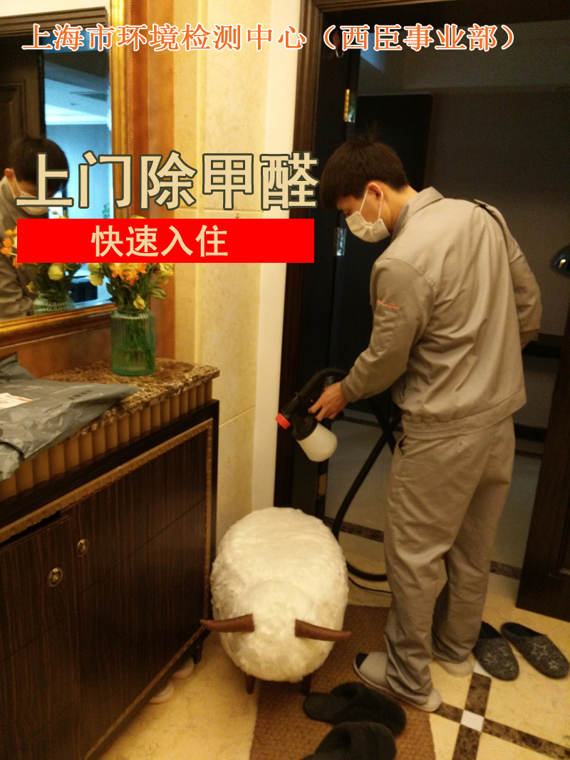 上海室内空气污染清除 甲醛治理 上门治理甲醛 专业除甲醛苯TVOC|msdalam kategori keluarga memasang ibu, perlindungan alam sekitar/Selain rasa/penyelenggaraan, kempen perlindungan alam sekitar, formaldehid scavenger - dari Buy2taobao.com untuk memberikan perkhidmatan ejen Taobao profesional membeli