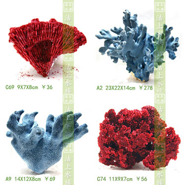 「Put the aquarium」Coral Aquarium decoration Aquarium Landscaping Conch shells Red reef of the seain the Pet/Pet food and supplies , Aqua World , Aquarium fish tanks and other equipment , Landscaping/Decoration category - from Buy2taobao.com to provide professional Taobao agent buy service