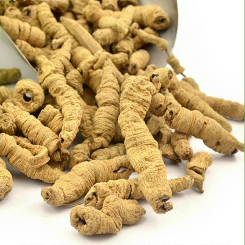 野生巴戟天:强筋健骨 泡酒料云南特产 中药材中草药 药酒料包邮|msdalam kategori makanan berkhasiat tradisional, Lain tonik tradisional, Lain tonik tradisional - dari Buy2taobao.com untuk memberikan perkhidmatan ejen Taobao profesional membeli