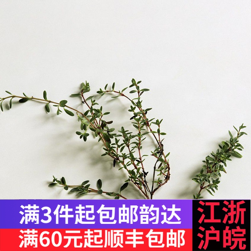 新鲜香料 百里香 麝香草山椒 西餐香料【100g】在类目 水产肉类/新鲜蔬果/熟食, 新鲜蔬菜/蔬菜制品, 新鲜蔬菜, 其它中 - 来自Buy2taobao.com提供专业的淘宝代购服务
