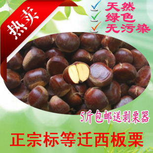  新鲜板栗生板栗正宗迁西板栗子天津甘栗紫玉带壳特级标粒5斤包邮