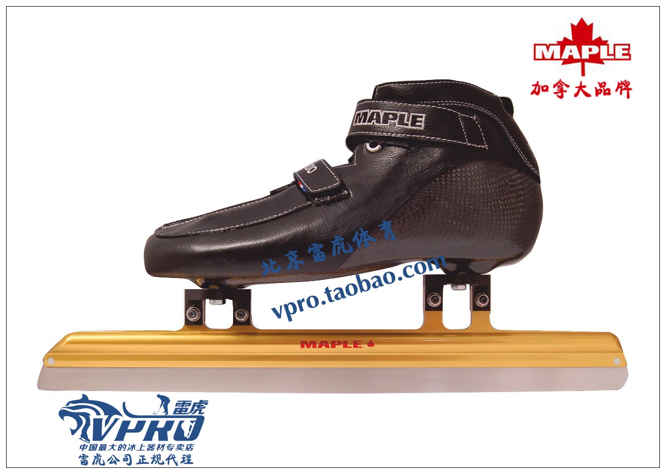 maple 加拿大 速滑冰刀鞋 顶级短道冰刀鞋 mst800冰鞋 gold冰刀