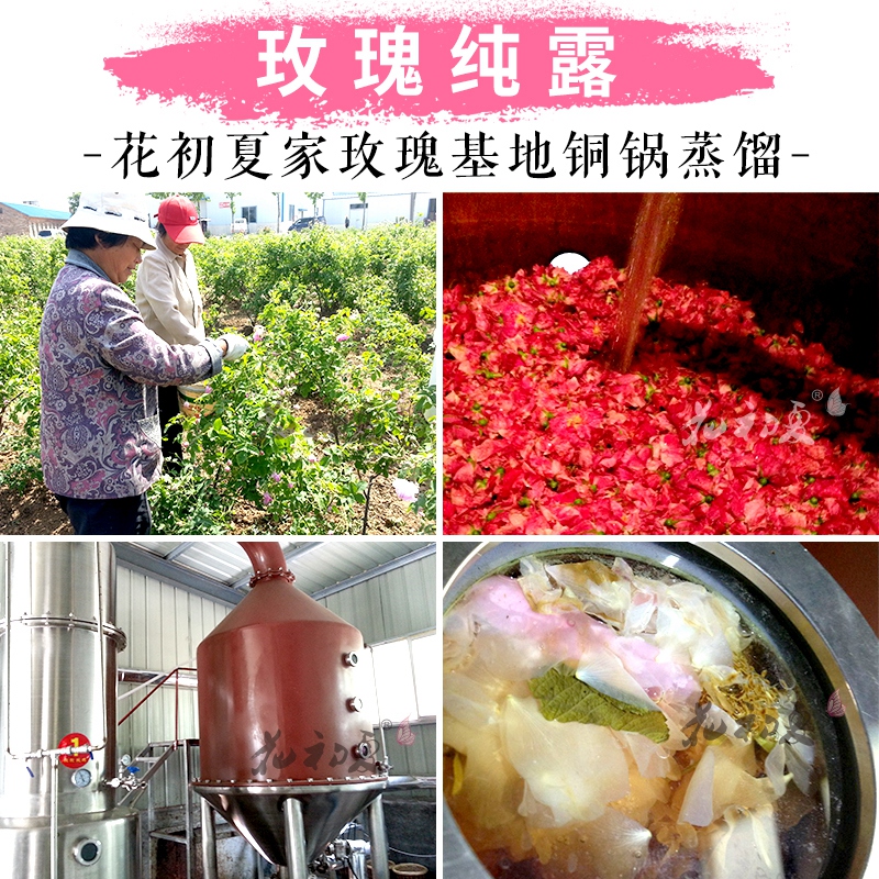 2018 fresh natural Botany Chiba rose Rosa rugosa Hydrosol Flower water Moisture replenishment Brighten Improve Yellowin the Skin Care/Body/Essential oils , Aromatherapy essential oils , Hydrosol/Flower water category - from Buy2taobao.com to provide professional Taobao agent buy service