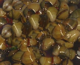  潮汕水产品 特产美食佐餐佳品 新鲜-咸卤嗨 即食