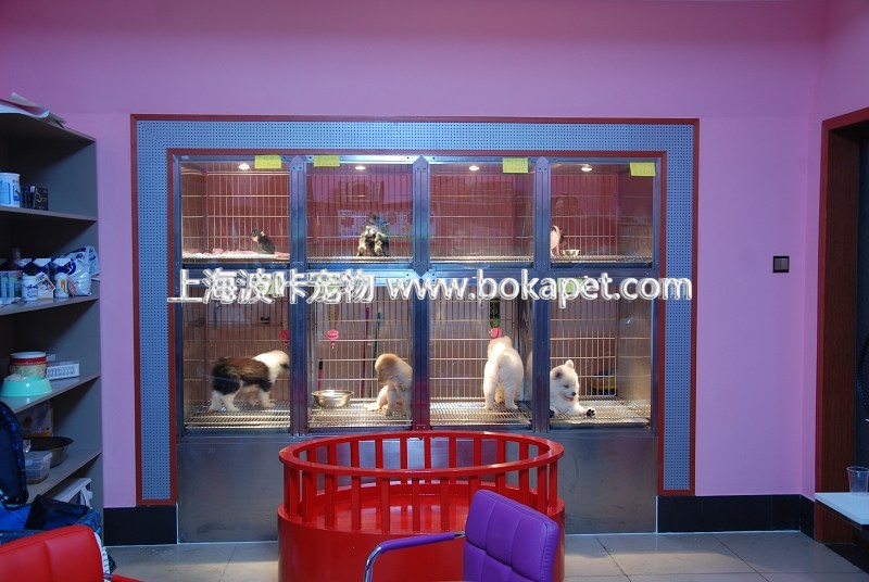 Stainless steel Exhibition Dog display cage|Dog display cage|Pet display cage|Pet Shop Exhibitionin the Pet/Pet food and supplies , Cat/Dog Supplies , Cage category - from Buy2taobao.com to provide professional Taobao agent buy service