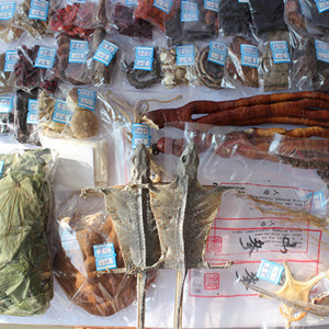  【正品保障】老中医养生滋补 泡酒料 药酒料假一赔十40种名贵药材