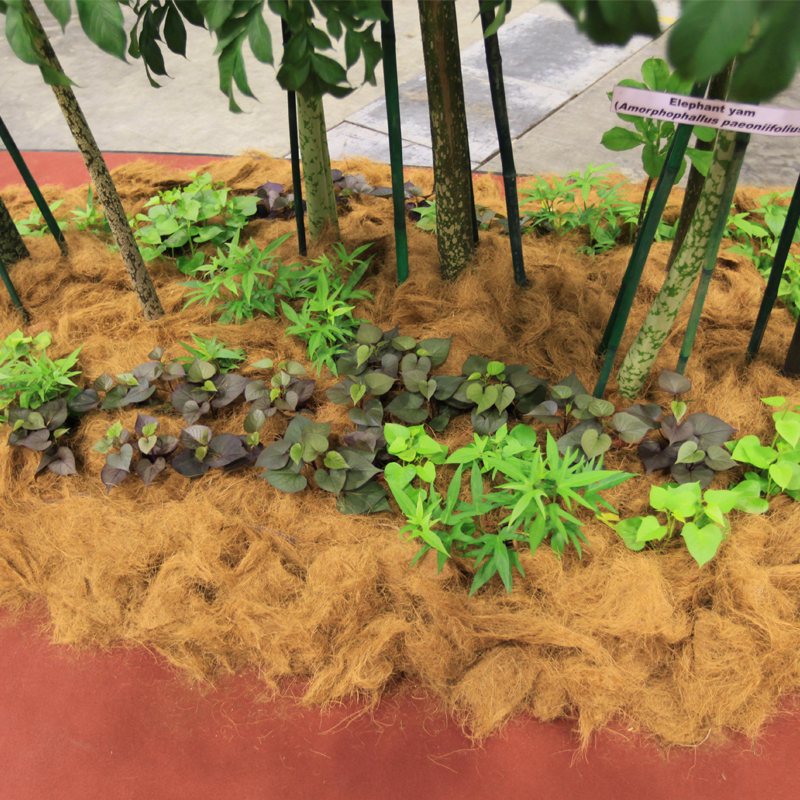 椰棕丝园艺花盆表面覆盖铺面植物土壤遮盖爬虫垫料展会活动布置|ruв категории доставка цветов/цветок моделирования/растения садоводства, садовых принадлежностей, других садовых принадлежностей - от Buy2taobao.com для оказания профессиональной услуги покупки агента Taobao