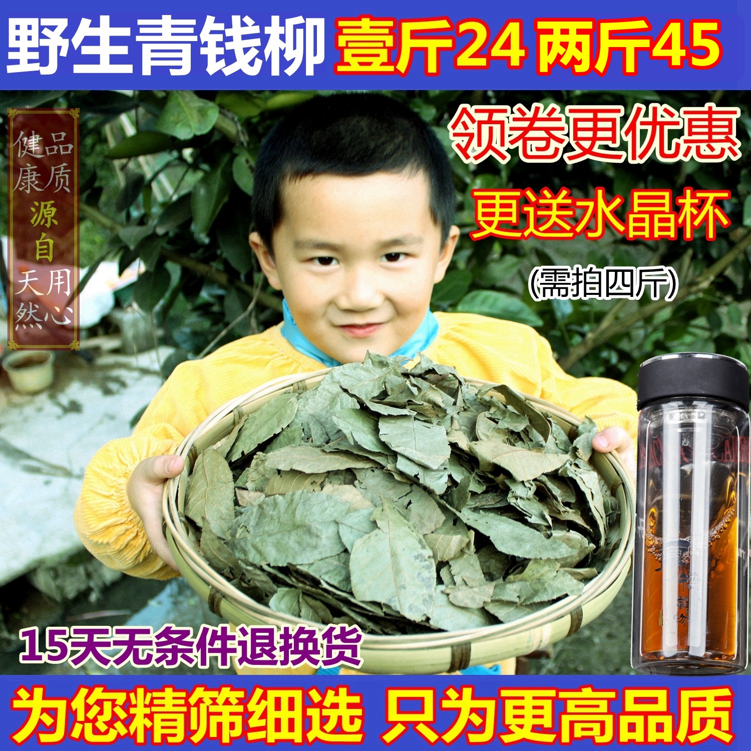 张家界野生青钱柳原叶茶正品养生茶大叶子茶金钱柳自产自销500g在类目 传统滋补营养品, 养生茶中 - 来自Buy2taobao.com提供专业的淘宝代购服务