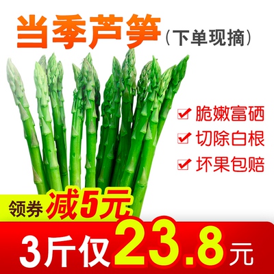 新鲜芦笋绿蔬菜3斤包邮 新鲜嫩芦笋芽新鲜采摘去白根当季青笋现摘