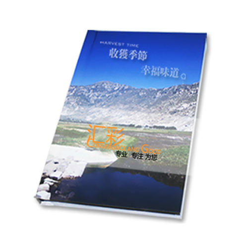 10x14寸連裝雜志冊/硬面包邊冊/壹體PVC冊/婚紗相冊制作/創意禮物在类目 個性定製/設計服務/DIY, 日用/裝飾定製, 相冊/照片書/立體照片中 - 来自Buy2taobao.com提供专业的淘宝代购服务