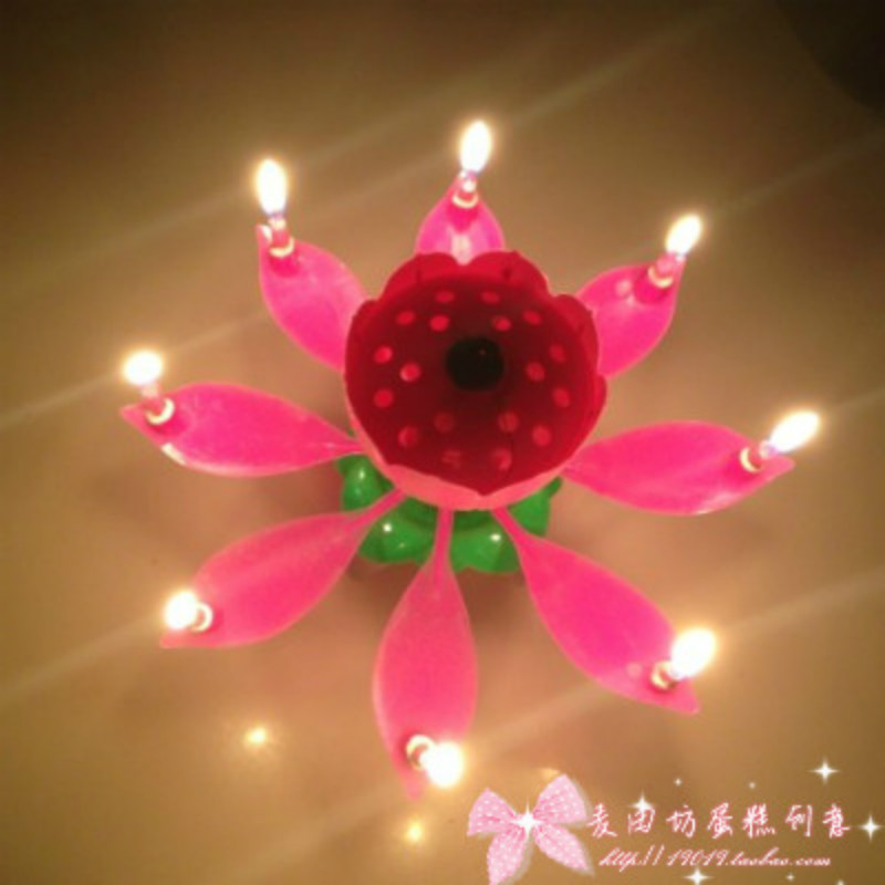 只送南京店/限和蛋糕一起拍/生日蛋糕荷花蜡烛 双层开花音乐蜡烛在类目 节庆用品/礼品, 蜡烛中 - 来自Buy2taobao.com提供专业的淘宝代购服务