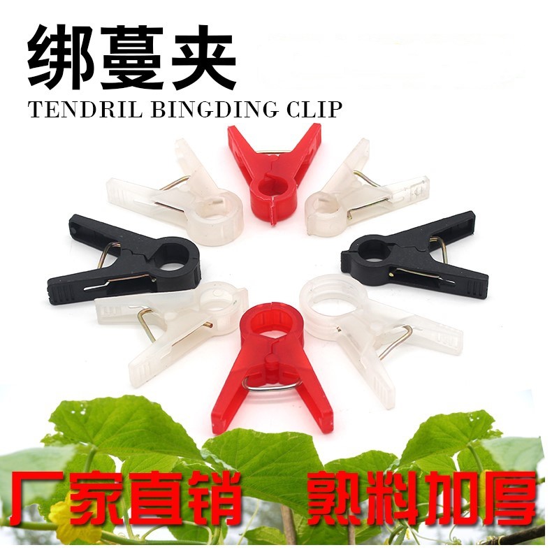 Old style Botany thickening greenhouse greenhouse cucumber Vegetable seedlings antioxidant Agriculturein the Flower delivery/Flowers simulation/Plants gardening , Gardening supplies , Other Garden Supplies  category - from Buy2taobao.com to provide professional Taobao agent buy service