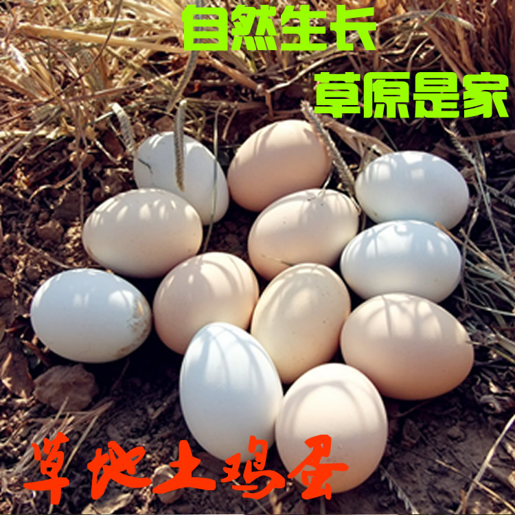 土鸡蛋农家鸡蛋草原溜达散养鸡蛋无饲料自然柴鸡青羽土鸡蛋60枚包在类目 水产肉类/新鲜蔬果/熟食, 蛋/蛋制品, 鲜活蛋类, 鸡蛋中 - 来自Buy2taobao.com提供专业的淘宝代购服务