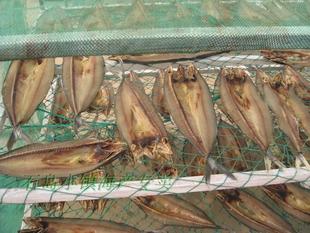  威海特产海产品海鲜干货 微咸鲅鱼干马鲛鱼干 渔民自晒  特价促销