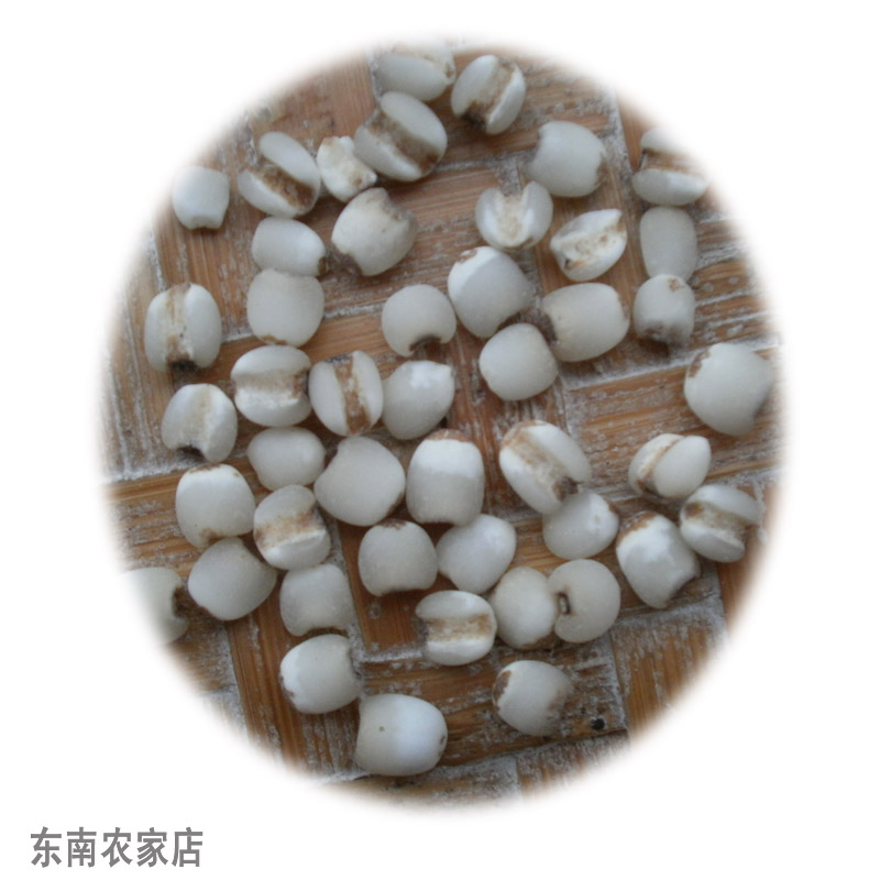 正宗農家福建仙遊龍華金沙薏米貢品香糯藥用祛濕氣1000g高山種植在類目 糧油米麪/南北乾貨/調味品, 米/麪粉/雜糧, 米類, 薏米中 - 來自Buy2taobao.com提供專業的淘寶代購服務