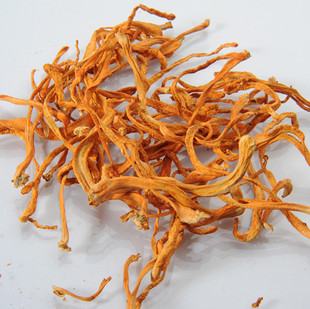  优等品北虫草虫草花冬虫夏草子实体蛹虫草金虫草【云欣】