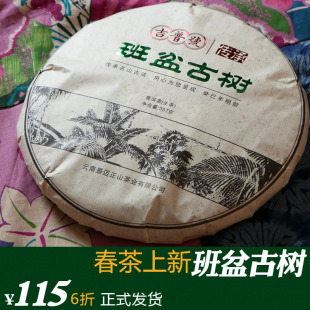  【班盆古树】吉普号 头春古树 普洱茶生茶 布朗山 春天喝好茶