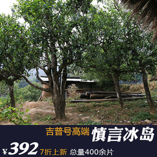  【预上架】吉普号慎言【冰岛】普洱茶 生茶 年冰岛古树纯料