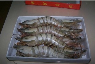  新鲜冷冻 海鲜 大海虾 草虾对虾一盒13-15只