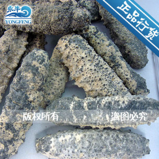  海参进口海参/野生海参/干货刺参/~淡干野生海参、美国淡干足参