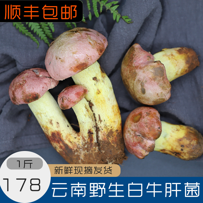 拾蘑菇 2019云南新鲜白葱菌 野生白牛肝菌 当季菌菇蘑菇包邮500g在类目 粮油米面/南北干货/调味品, 南北干货/肉类干货, 干货/土特产, 香菇类中 - 来自Buy2taobao.com提供专业的淘宝代购服务