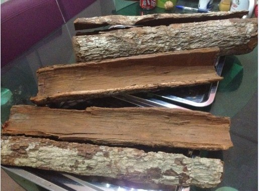 喜洋洋非洲安哥拉卡宾达树皮淘宝直营店|一淘