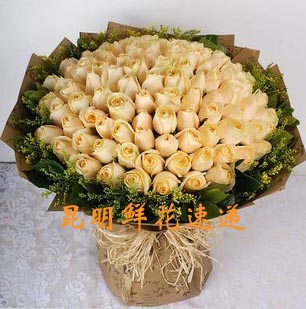 【皇冠信誉】昆明鲜花速递;生日鲜花;99朵香槟玫瑰;友情祝福|msdalam kategori penghantaran bunga/bunga simulasi/tumbuhan berkebun, penghantaran bunga (bandar) - dari Buy2taobao.com untuk memberikan perkhidmatan ejen Taobao profesional membeli