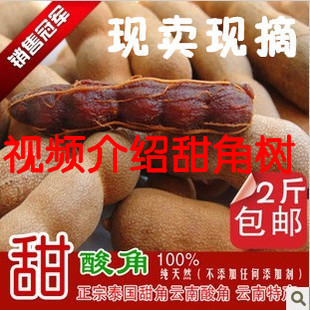  【天天特价】泰国甜角孕妇食品甜酸角云南特产零食品水果两件包邮