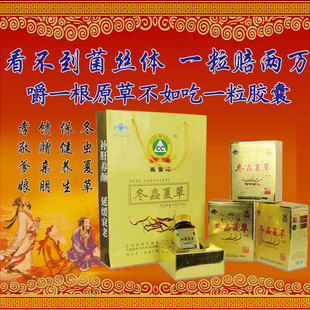  特价100%天然冬虫夏草胶囊虫草菌丝体术后化疗康复同仁堂经销正品