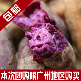  【团800专享】产地直销绿色无公害新鲜紫薯番薯/蔬菜五谷杂粮粗粮